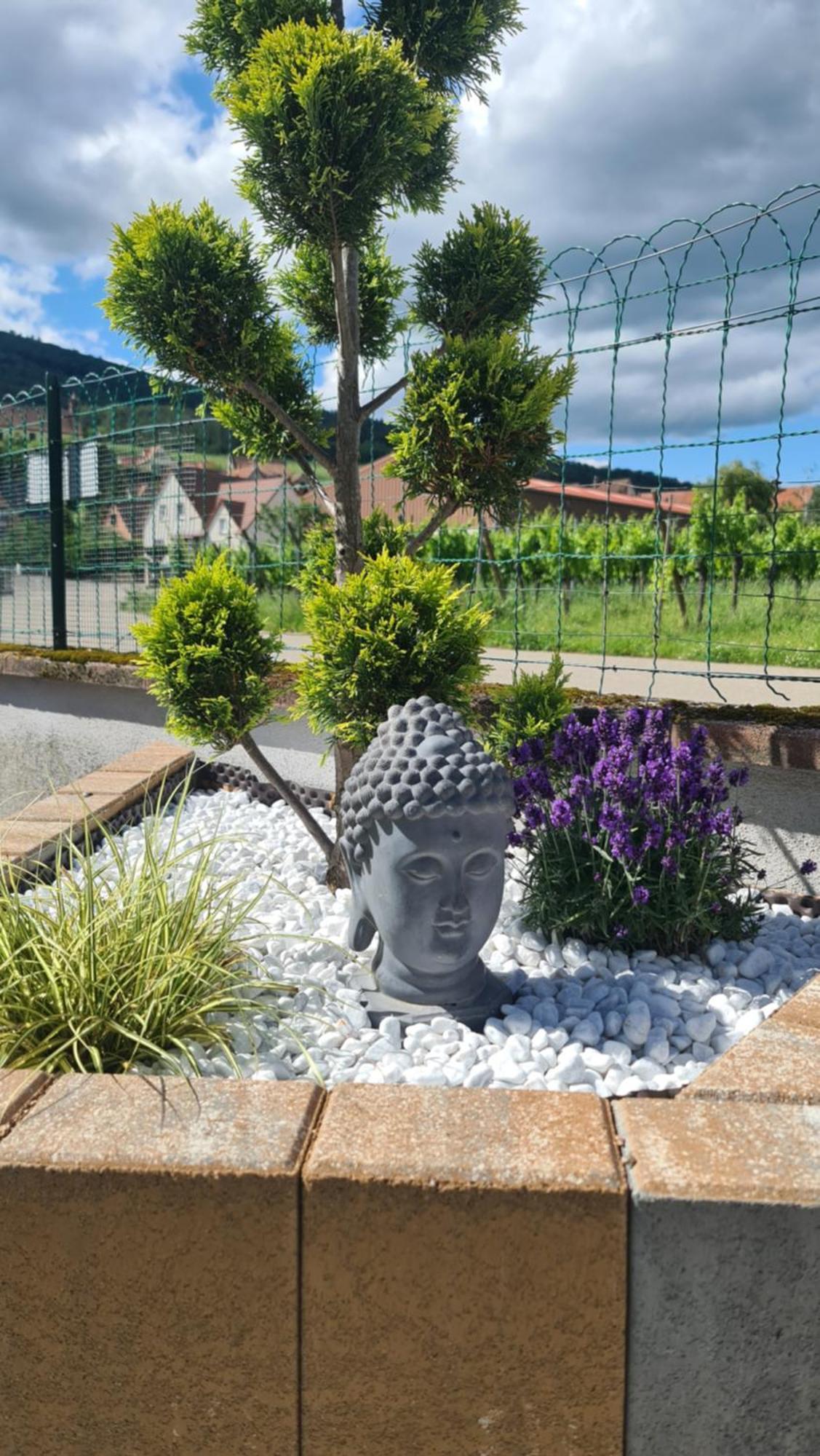 Au Jardin D'Edel Gites Centre Alsace ディーフェンタール エクステリア 写真